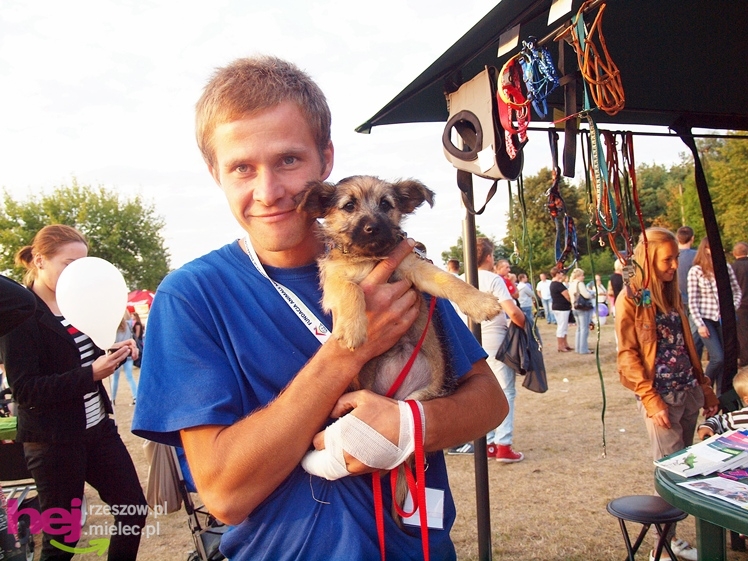 Dni Mielca 2013: niedziela: Joko i Farba, Big Band, Barciś i Żak - cz. VI