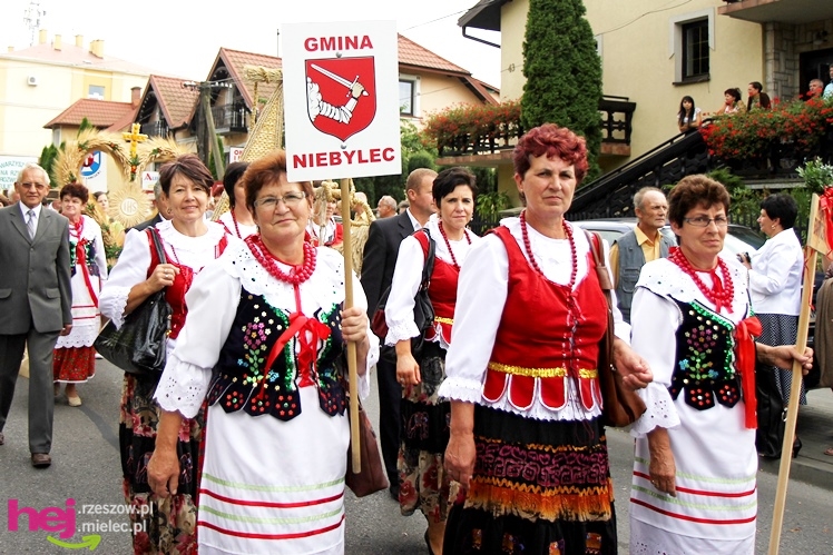 XIII Dożynki Województwa Podkarpackiego: korowód i uroczystosci na Gryfie - cz. II