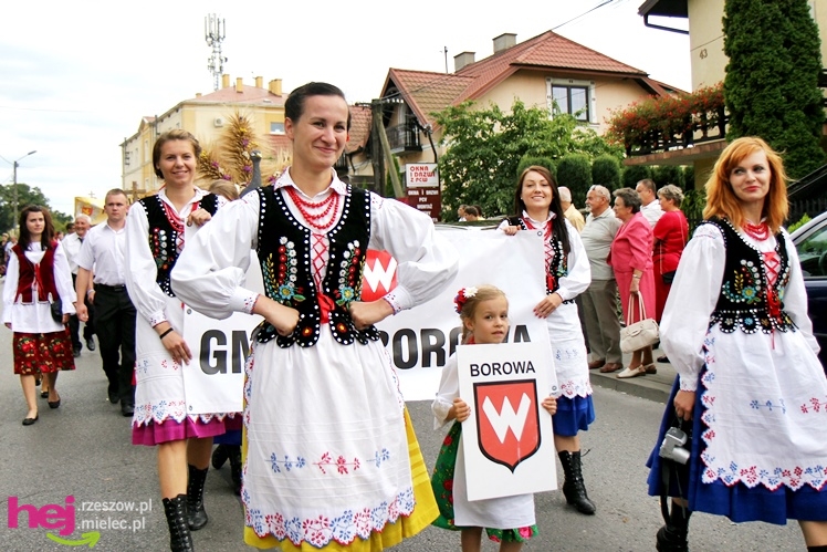 XIII Dożynki Województwa Podkarpackiego: korowód i uroczystosci na Gryfie - cz. II