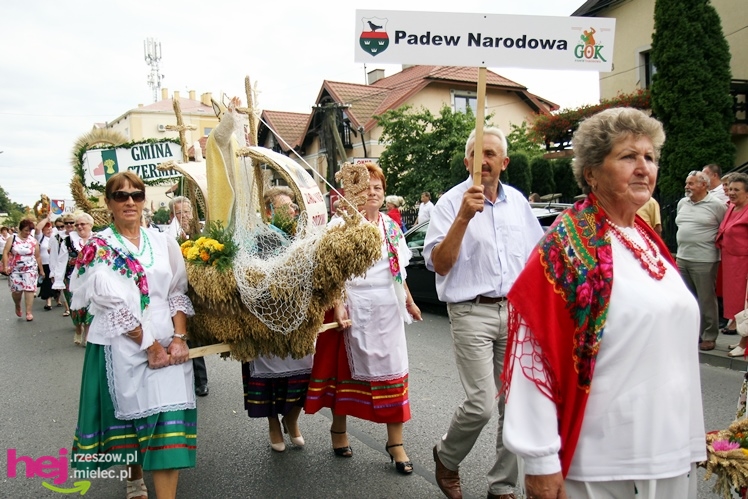 XIII Dożynki Województwa Podkarpackiego: korowód i uroczystosci na Gryfie - cz. II