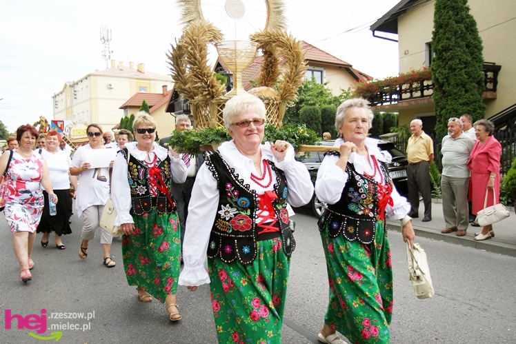 XIII Dożynki Województwa Podkarpackiego: korowód i uroczystosci na Gryfie - cz. II