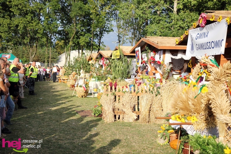 XIII Dożynki Województwa Podkarpackiego: korowód i uroczystosci na Gryfie - cz. II