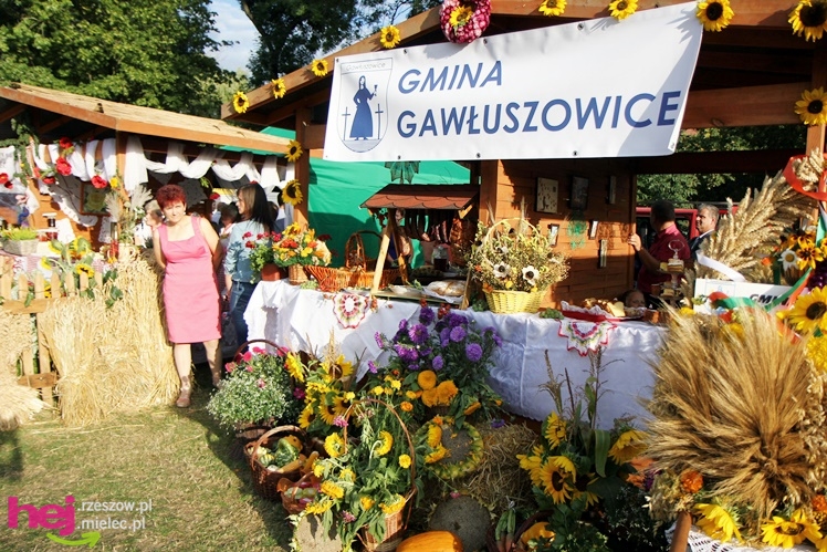 XIII Dożynki Województwa Podkarpackiego: korowód i uroczystosci na Gryfie - cz. II