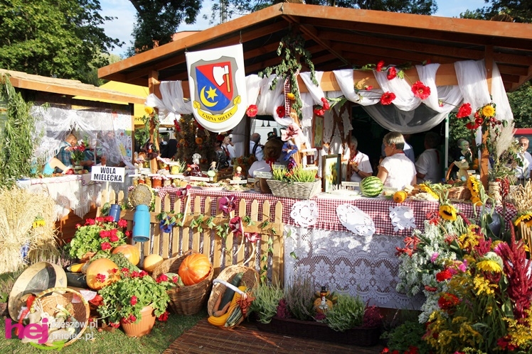 XIII Dożynki Województwa Podkarpackiego: korowód i uroczystosci na Gryfie - cz. II