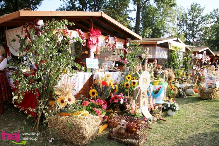 XIII Dożynki Województwa Podkarpackiego: korowód i uroczystosci na Gryfie - cz. II