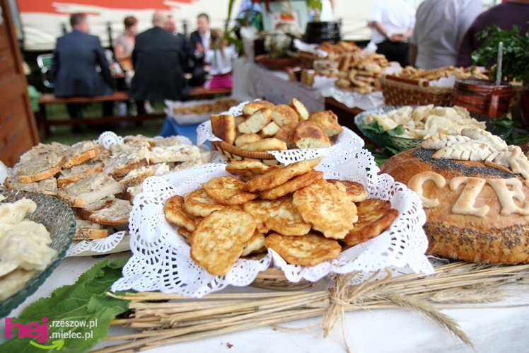 XIII Dożynki Województwa Podkarpackiego: korowód i uroczystosci na Gryfie - cz. II