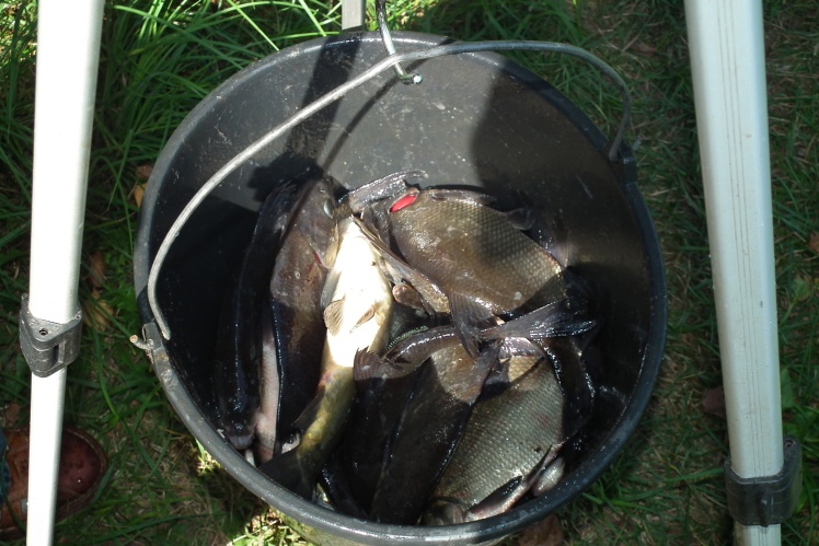 XX edycja Zawodów Wędkarskich Sklepu ?Gazos??