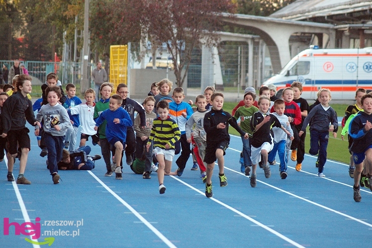 Biegał cały Mielec. I okolice też. XIX Bieg Uliczny o Puchar Prezydenta Mielca wokół stadionu - CZĘŚĆ PIERWSZA