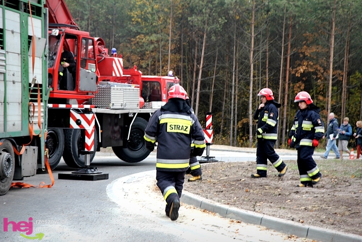 Na drodze wojewódzkiej Mielec - Kolbuszowa wywrócił się TIR wiozący świnie