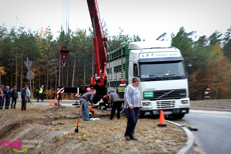 Na drodze wojewódzkiej Mielec - Kolbuszowa wywrócił się TIR wiozący świnie