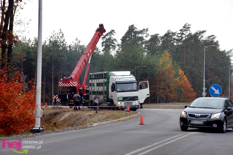 Na drodze wojewódzkiej Mielec - Kolbuszowa wywrócił się TIR wiozący świnie