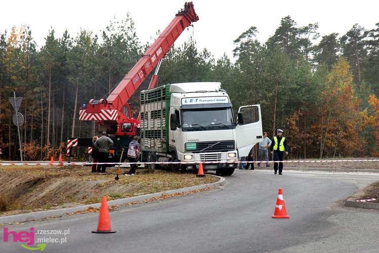 Na drodze wojewódzkiej Mielec - Kolbuszowa wywrócił się TIR wiozący świnie