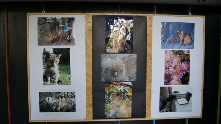 Wojciech Pelc z ŚDS laureatem V Konkursu Fotograficznego