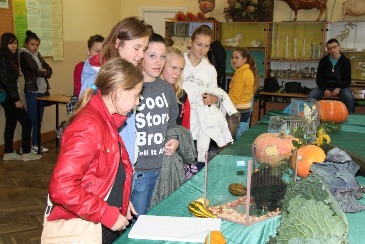 Piknik edukacyjny w Rzemieniu: blisko 300 gimnazjalistów zobaczyło placówkę