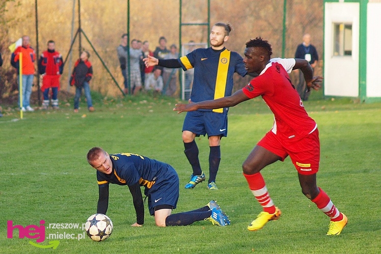 Limanovia Limanowa - Stal Mielec 1:0