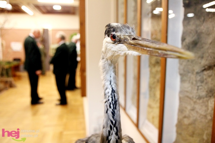 ?W głębi puszczy za bagnami? - otwarcie wystawy w Nadleśnictwie Tuszyma