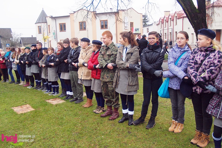 11 listopada 2013 w Mielcu