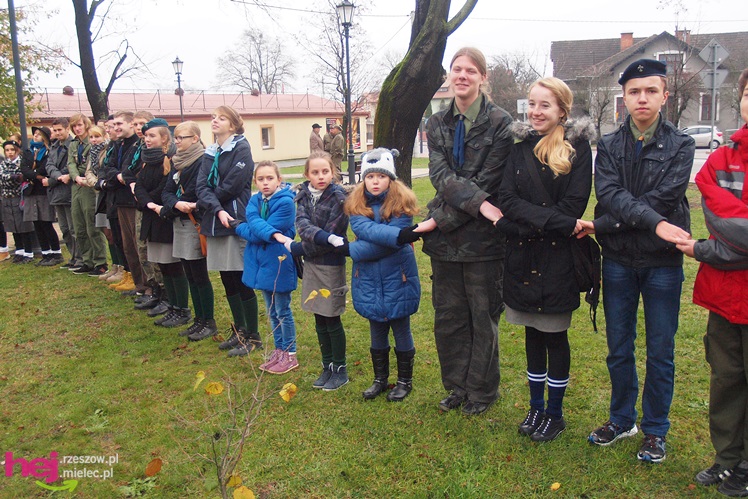 11 listopada 2013 w Mielcu