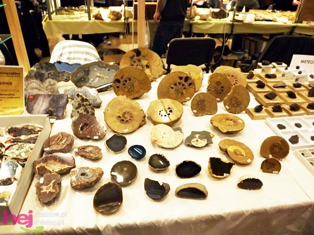 VI Giełda Minerałów, Skamieniałości i Wyrobów Jubilerskich