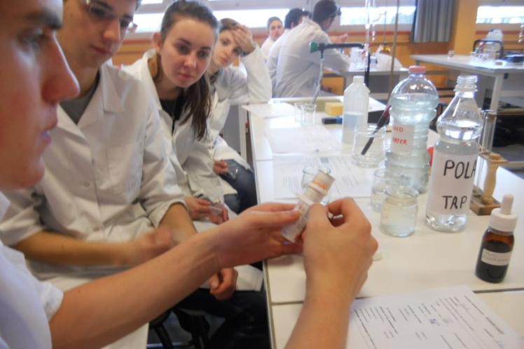 Uczniowie ZSB obradowali w Lille