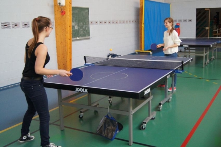 Uczniowie ZSB obradowali w Lille