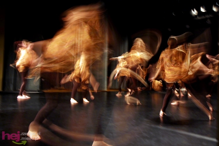 VII Ogólnopolski Festiwal Tańca Współczesnego: Kontrasty cz. I