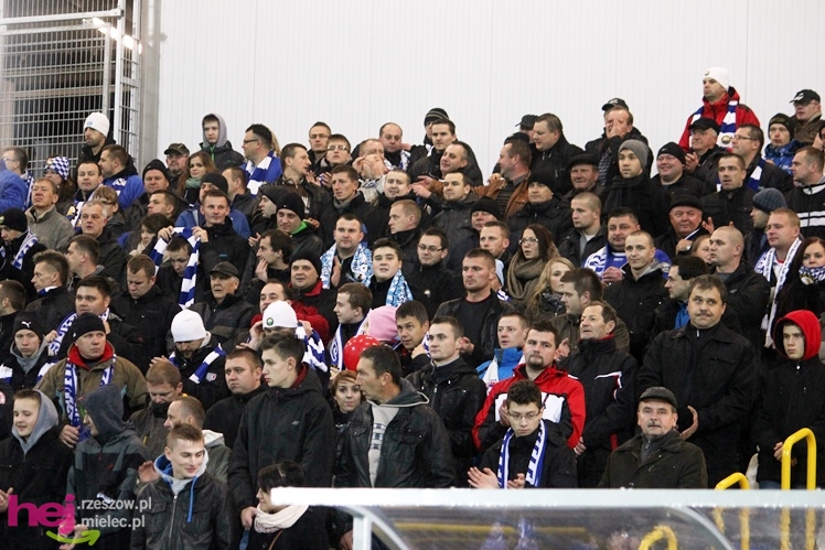 Stal Mielec - Znicz Pruszków 1:0