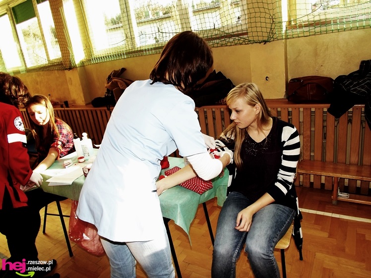 Widok, który buduje. Mielecki Dzień Dawcy Szpiku gromadzi tłumy dobrych ludzi