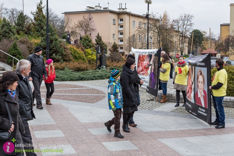 Antyaborcyjna pikieta pod kościołami. Organizatorami członkowie stowarzyszenia z Rzeszowa