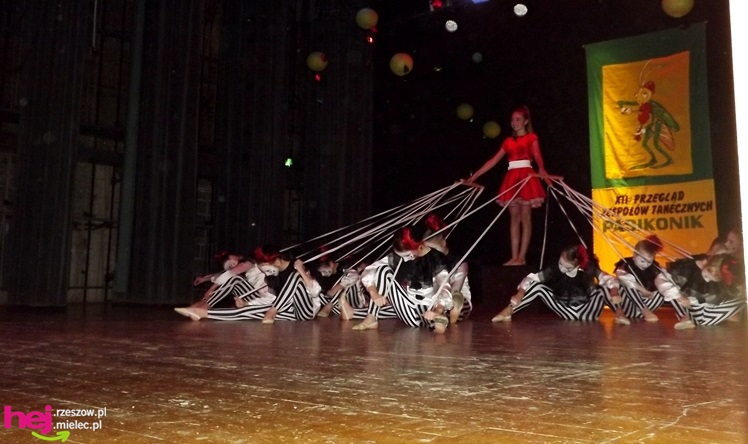 Wszystkim PASI taki KONIK