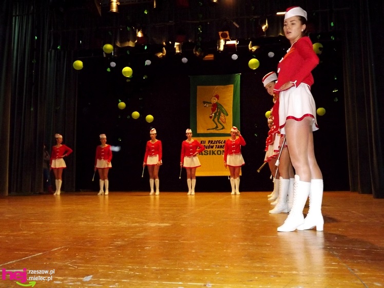 Wszystkim PASI taki KONIK