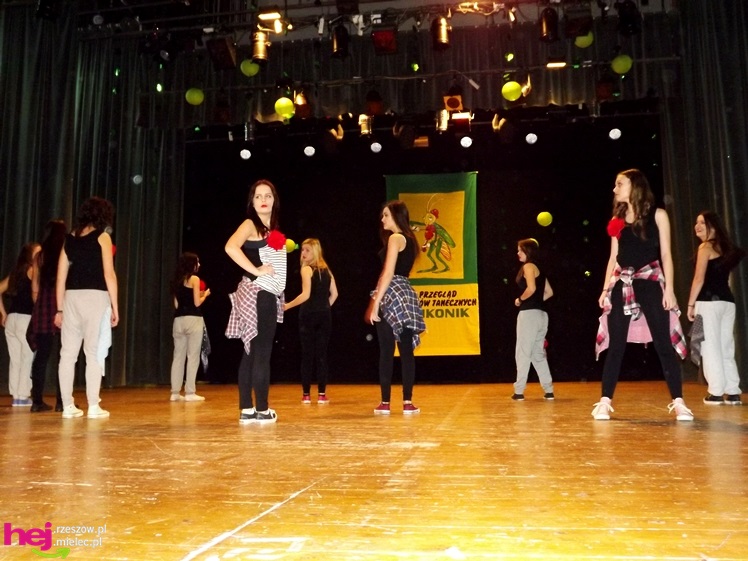 Wszystkim PASI taki KONIK