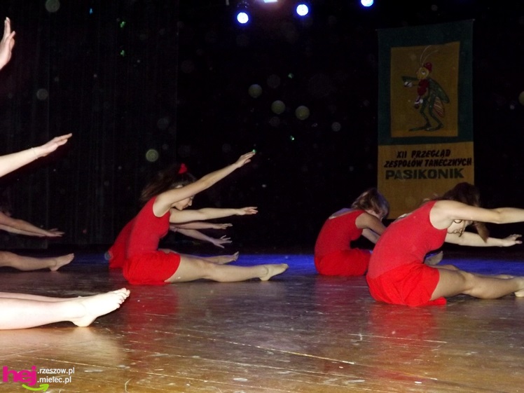 Wszystkim PASI taki KONIK