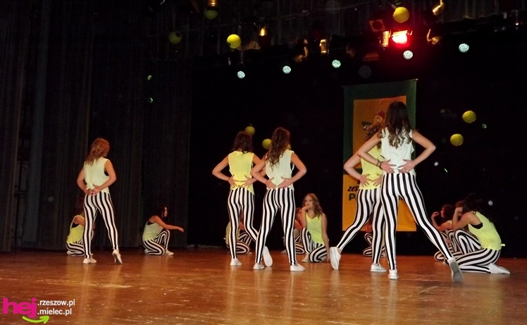 Wszystkim PASI taki KONIK