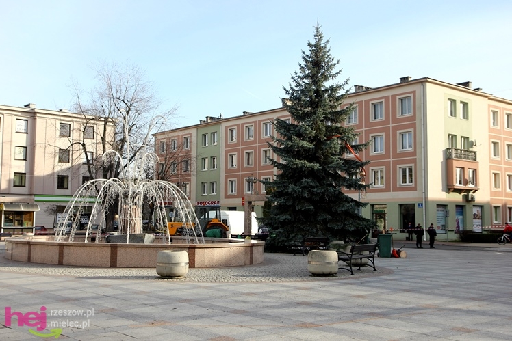 Akcja stawiania choinki na Placu AK w centrum Mielca