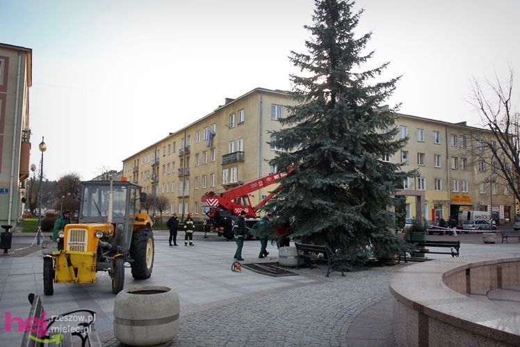 Akcja stawiania choinki na Placu AK w centrum Mielca