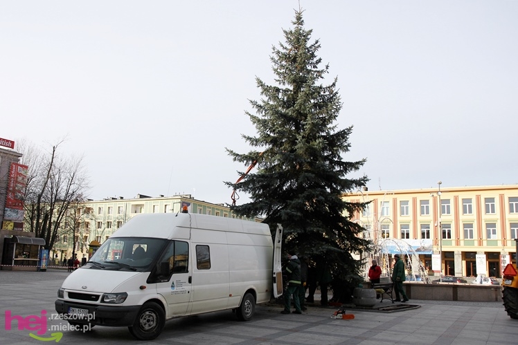 Akcja stawiania choinki na Placu AK w centrum Mielca