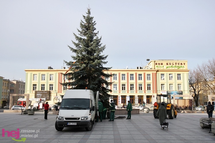 Akcja stawiania choinki na Placu AK w centrum Mielca