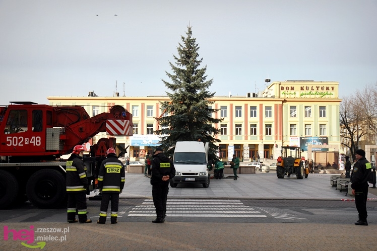 Akcja stawiania choinki na Placu AK w centrum Mielca