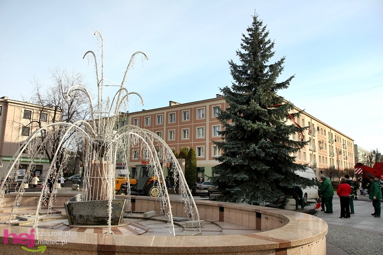 Akcja stawiania choinki na Placu AK w centrum Mielca