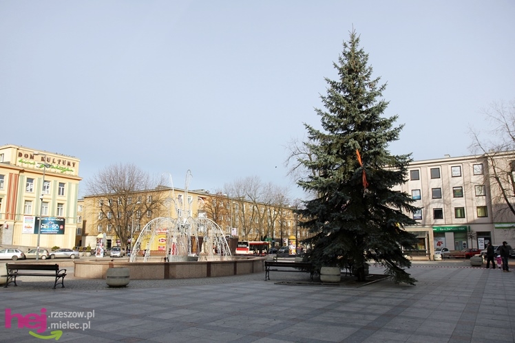 Akcja stawiania choinki na Placu AK w centrum Mielca