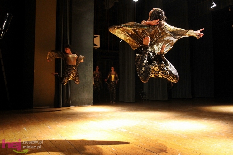 Koncert charytatywny dla Kamila. Mielczanie przynieśli nakrętki