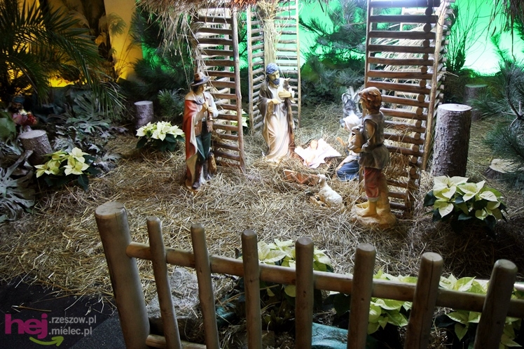 Piękne szopki największych mieleckich parafii