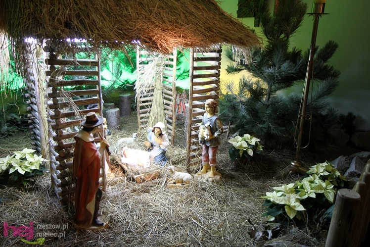 Piękne szopki największych mieleckich parafii