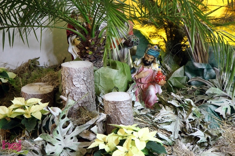 Piękne szopki największych mieleckich parafii