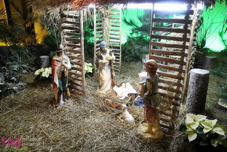 Piękne szopki największych mieleckich parafii