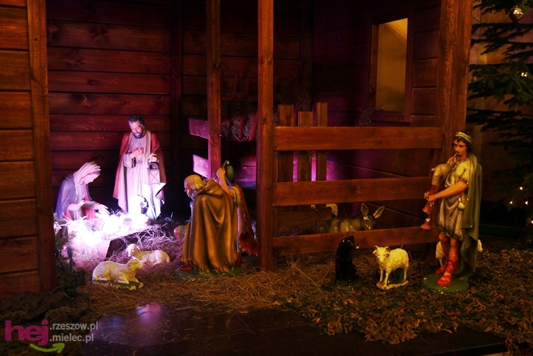 Piękne szopki największych mieleckich parafii