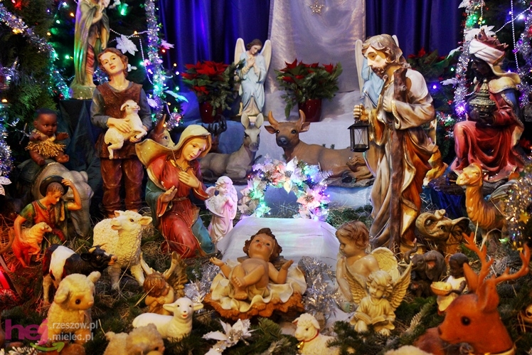 Piękne szopki największych mieleckich parafii