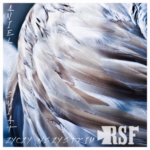 Kto złożył życzenia czytelnikom portali hej.mielec.pl i hej.rzeszow.pl?