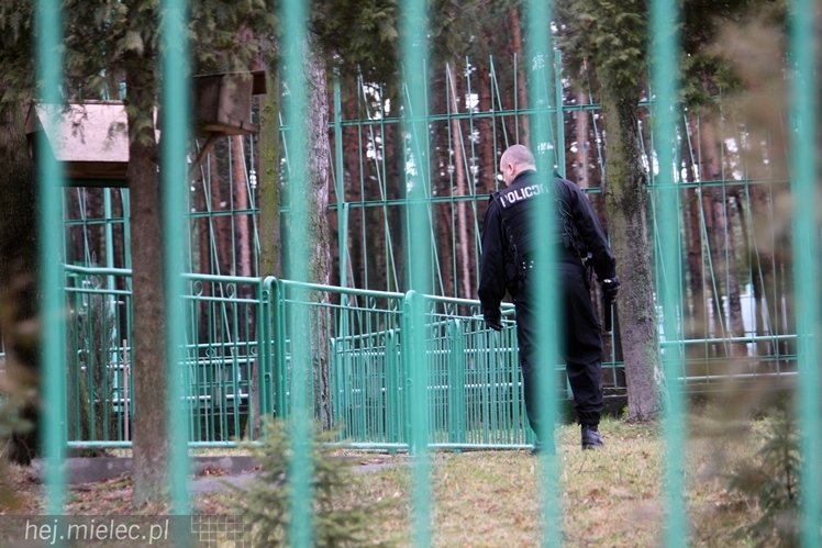 Alarmu bombowego nie ma. Policja przeszukała 20 szkół na terenie Mielca. Nic nie znaleziono